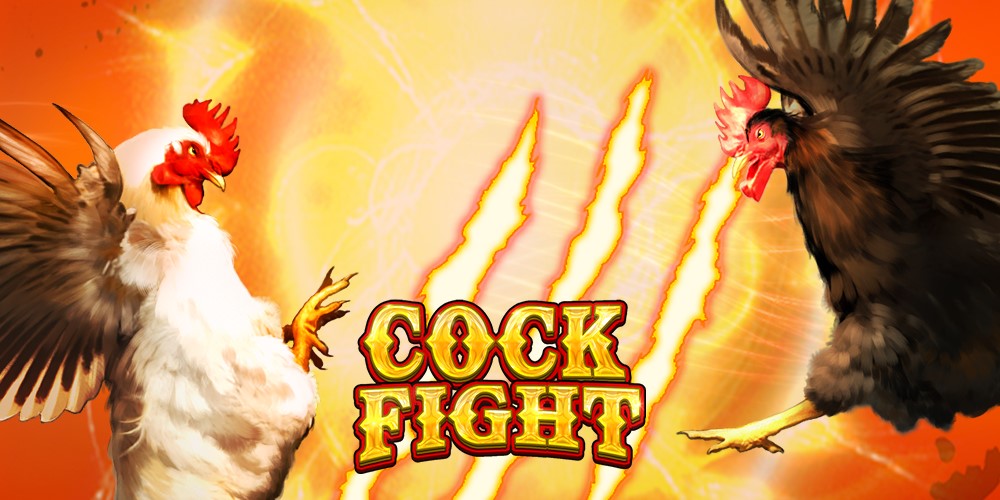 cockfighting online arcade game by pp gaming